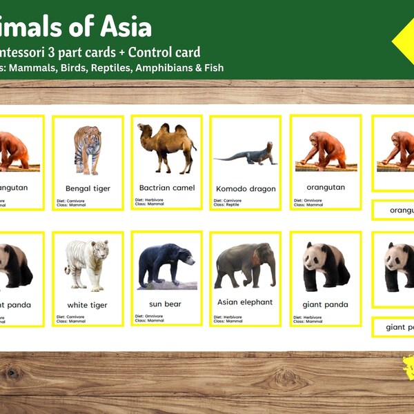 Animals of Asia | 36 Montessori 3-part cards | Includes Mammals, Birds, Reptiles, Amphibians and Fish | Geography for Kids | Continent Study