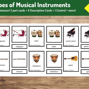 Types of Musical Instruments | Aerophones, Membranophones, Chordophones and more