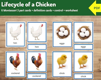 Lifecycle of a Chicken | Montessori 3-Part Nomenclature Cards for Learning