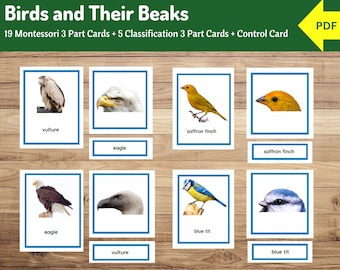 Birds and Their Beaks: Montessori Three-Part Cards and Sorting Activity