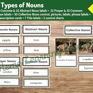 Tipi di nomi Pacchetto completo: carte di ordinamento Montessori concrete, astratte, proprie, comuni e collettive