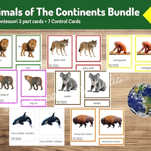 Mega Bundle Animali dei Continenti / 219 Carte Montessori / Apprendimento della fauna selvatica