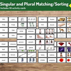 Juego de tarjetas de singular y plural / Serie Montessori rosa, azul y verde para los grados 1-3