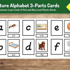 Montessori Alphabet 3-Part Cards – Phonics & Alphabet Learning for Preschoolers