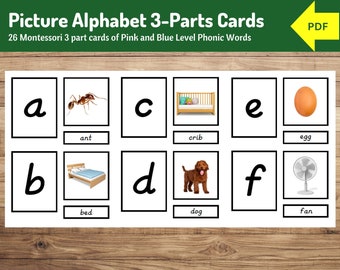 Montessori Alphabet 3-Part Cards - Phonics & Alphabet Learning for Preschoolers