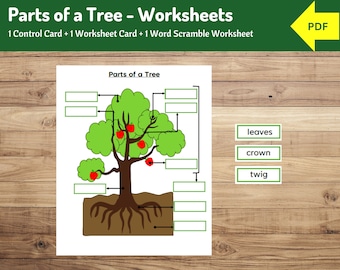 Feuille d'exercices sur les parties d'un arbre : apprentissage Montessori (PDF)