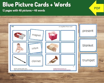 Montessori Blue Series Picture Cards | Reading Practice Bundle for Kids