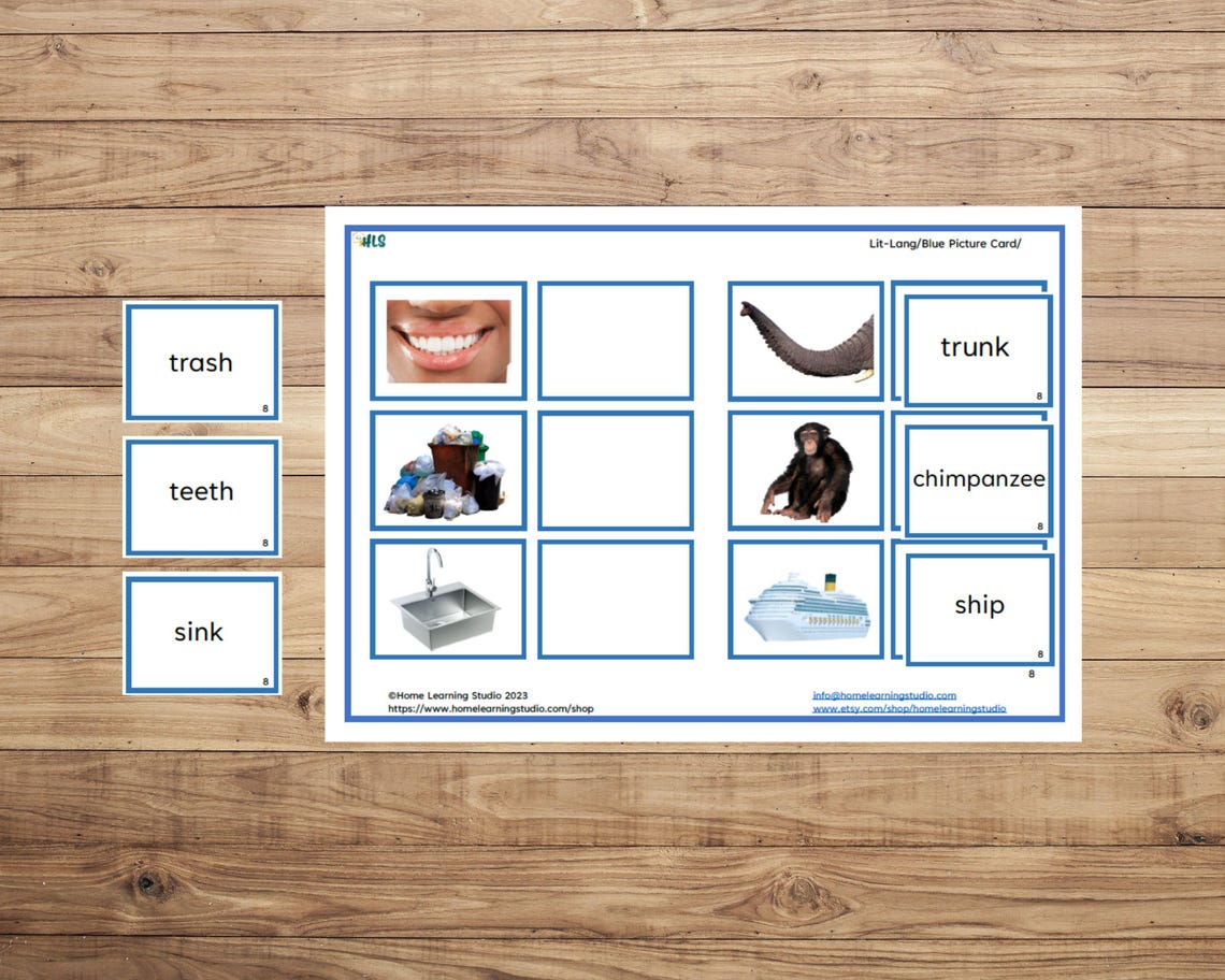 Montessori Blue Series Picture Cards | Reading Practice Bundle for Kids ...