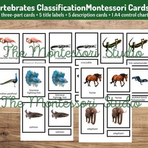 Montessori Vertebrate Classification Cards | Zoology Sorting Printable PDF