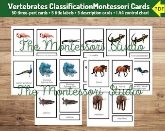 Classificatiekaarten voor montessorigewervelden | Zoölogie sorteren afdrukbare pdf