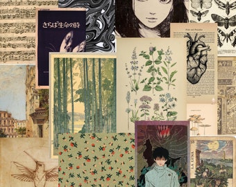 May include: A collage of images featuring a variety of themes, including nature, music, and art. The collage includes images of butterflies, flowers, a musical score, a forest scene, a woman's face, and a heart. The text "さらば生命の時" is visible in the upper left corner of the image.
