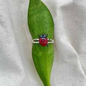 Könnte beinhalten: Ein silberfarbener Ring mit einem kleinen, detaillierten Marienkäfer-Ornament mit leuchtend rotem Rücken, schwarzen Punkten und schwarzem Kopf. Der Marienkäfer ist mittig auf einer dünnen, zweigeteilten Metallschiene platziert, die waagerecht auf einem grünen Blatt liegt.