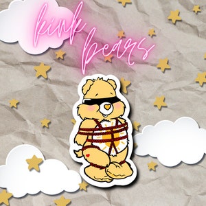 Care Bear Sticker || Adult || Novelty || 18+