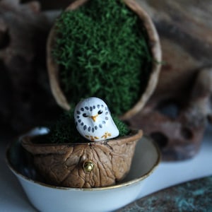 Peut inclure: Une petite figurine de hibou blanche avec des yeux noirs et des accents dorés est placée dans une miniature de noix avec de la mousse verte. La noix est placée sur une soucoupe blanche.