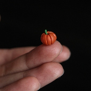 Miniature fall season pumpkin - fairy garden pumpkin - fairy fall garden decor - fairy food - fairy garden supplies - diy autumn harvest