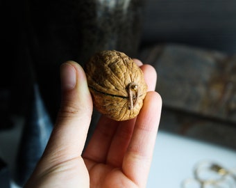 Boîte cadeau faite à la main en coquille de noix - boîte à bagues de proposition - boîte féerique - cadeau unique d'anniversaire - boîte cadeau de mariage - bague de fiançailles - boîte à bijoux