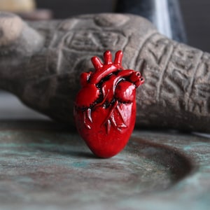 Anatomical human heart - heart miniature - clay heart - cardiac nurse id badge - cardiac md doctor - grey's anatomy