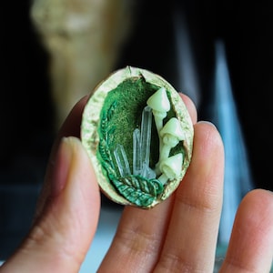 May include: A small, golden, walnut-shaped container with a green interior. Inside, there are white mushrooms and clear crystals.