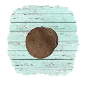 Four Cowhide Leather Coasters