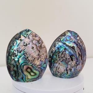 Vintage Handcrafted PAUA Shell Ford land Salt and Pepper shakers New Zealand 1980s