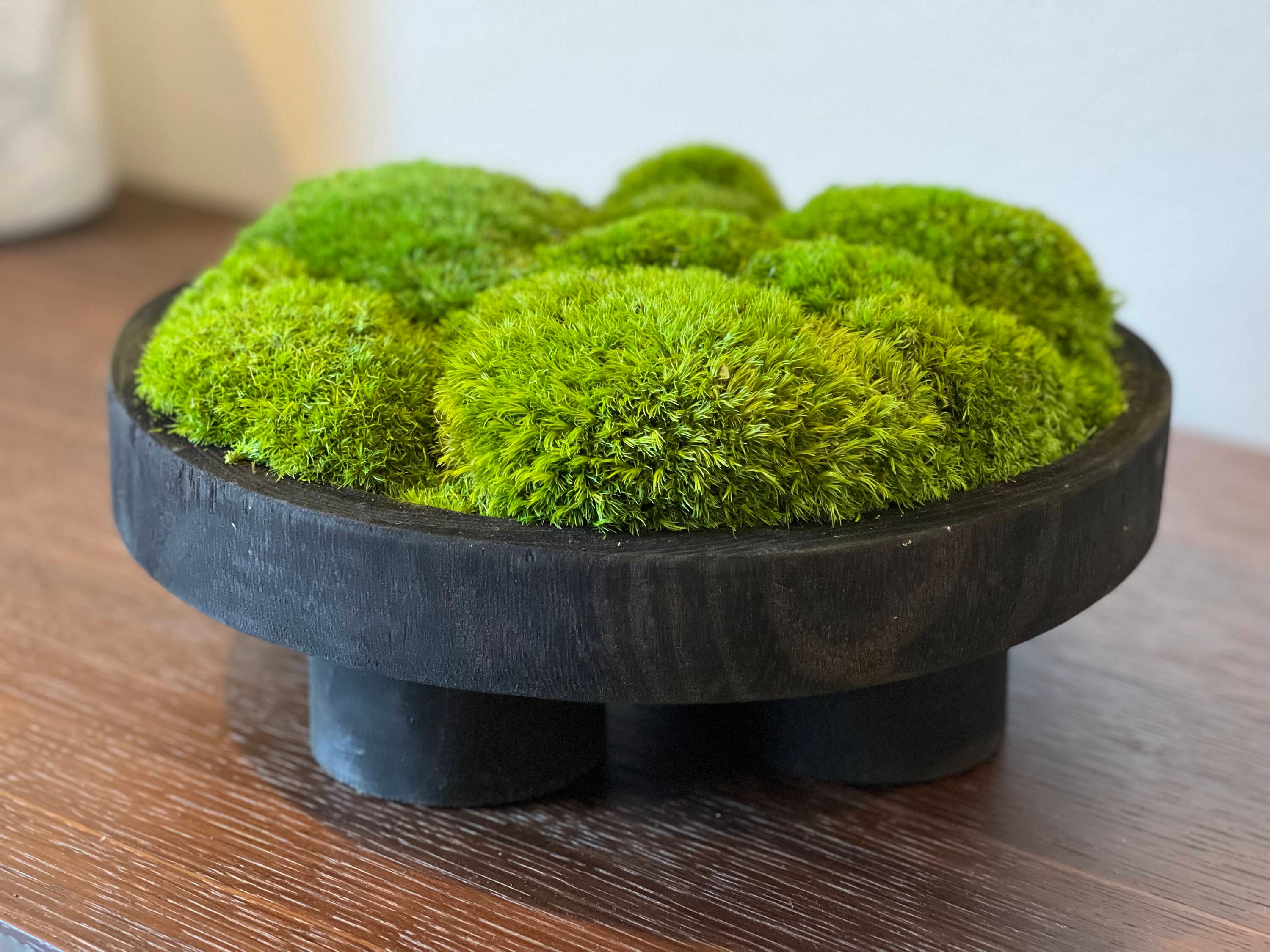 Art Bowl Moss for sale 88 ads for used Art Bowl Moss