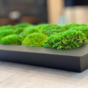 moss centerpiece
