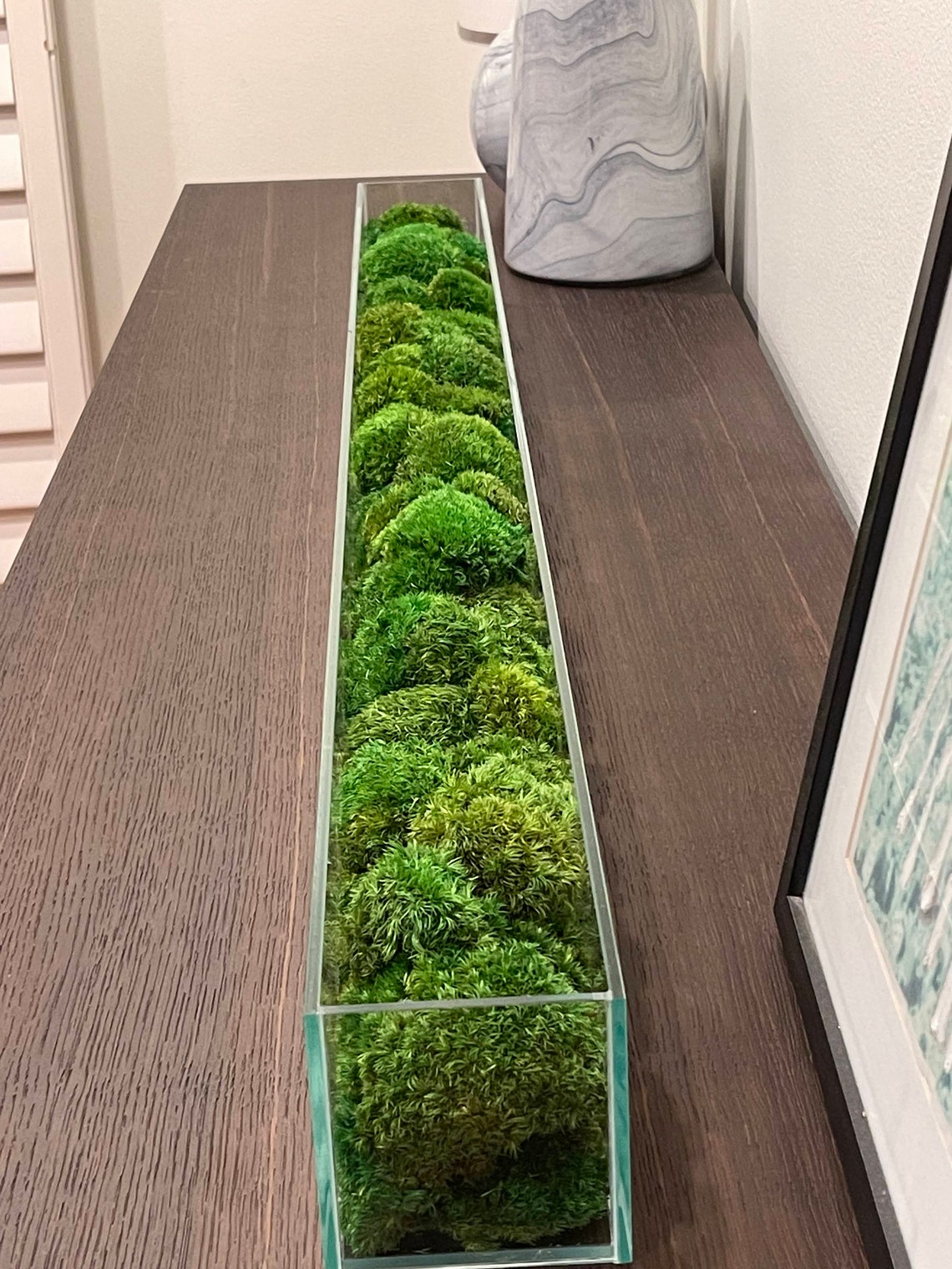 Preserved Moss in A Clear Vase Etsy