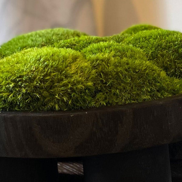 Moss Bowl Arrangement-Emerald Green Color-Hand Carved Wooden Bowl-Contemporary Home Decor