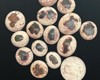 Lot of 11 Mexican Fire Opals Cabochons