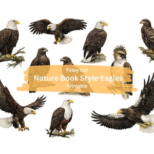 May include: A collection of illustrated eagles in various poses, including perched and in flight. The birds feature brown and white plumage, yellow beaks, and are set against a white background. Text on the image reads "Fussy Cut Nature Book Style Eagles Printable."
