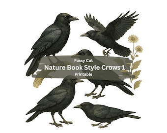 Efêmeros de Corvos - Estilo Livro da Natureza, Pássaros Recortados à Mão (Download Digital)