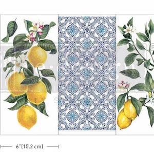 Mini Rub on Transfers for Furniture, Redesign with Prima Decor Transfer, Furniture Transfer, Lemon Tree Furniture Decals
