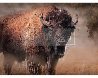 Yakitude Bison Decoupage Fiber - A1 Decor Paper (23.4" x 33.1")