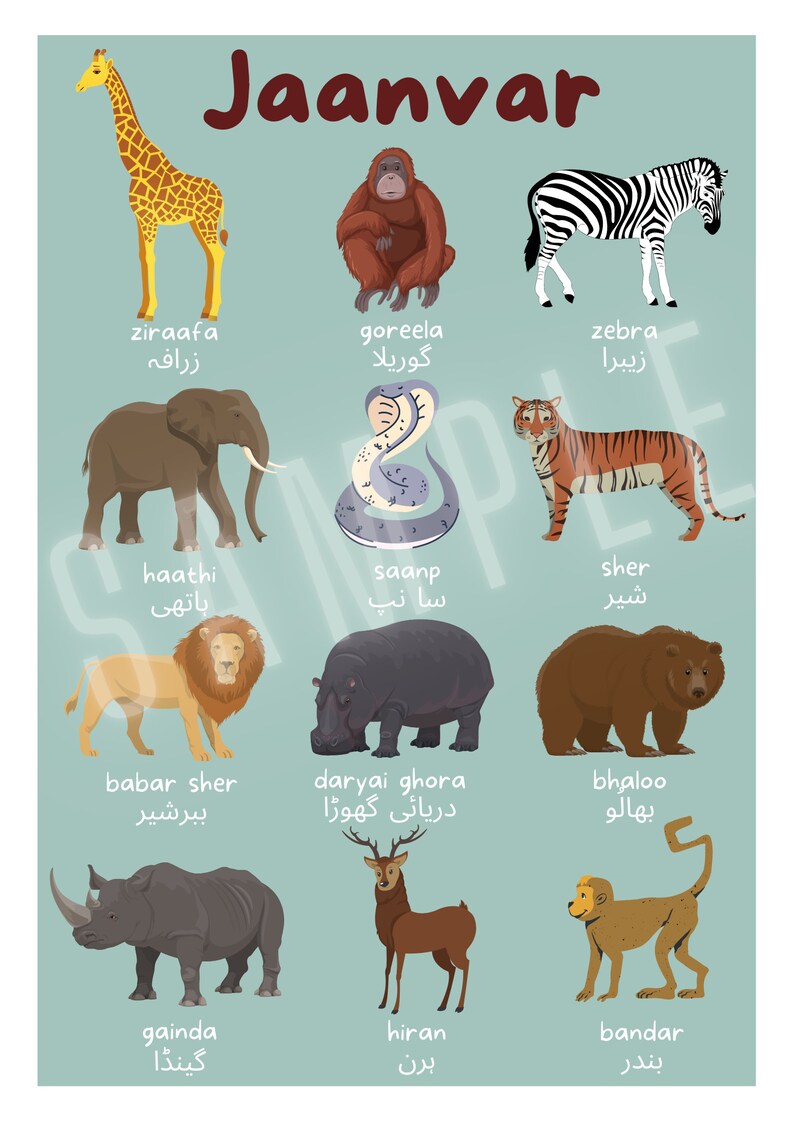 Printable Urdu Animal Poster Jaanvar Urdu Language Print Teaching Urdu