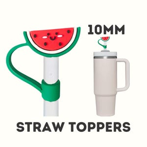 Watermelon Straw Topper, 10mm Straw Topper, Stanley Straw Topper, Straw Cover, Straw Charm, Straw Cap, Stanley Cup, Watermelon