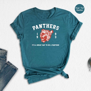 Team Mascot Shirt, Panthers Mascot Shirt, Panthers School Tee, Panthers Team Spirit, Panther Team Shirt, Mascot Shirt