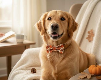 Fall Pumpkin Pet Bow Tie | Autumn Dog & Cat Collar Bow Tie