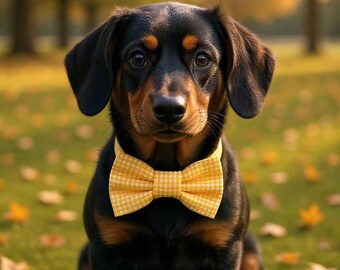 Yellow Gingham Bow Tie Collar Accessory | Handmade Pet Outfit for Dogs & Cats