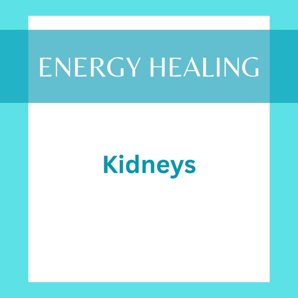 Kidneys Energy Healing - 30 Minute Session