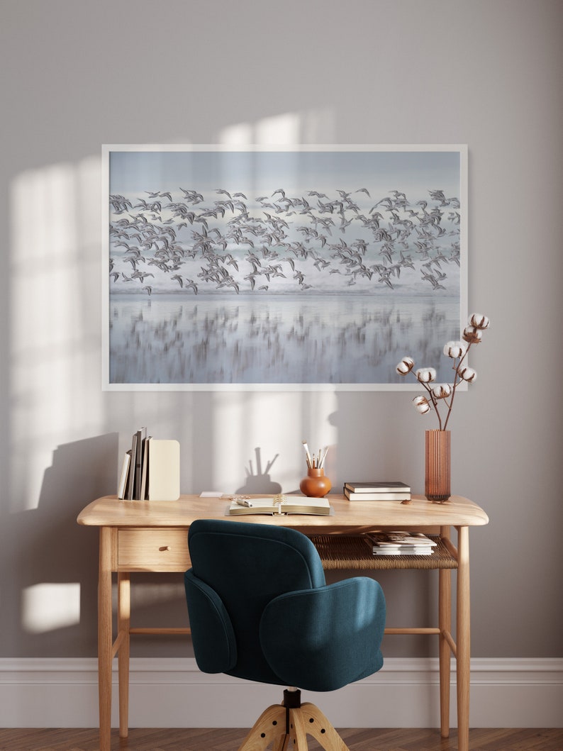 Sanderling Bird Print, Beach Seascape Photography, Nature Wall Art - Etsy