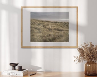Irish Beach Grass Photo Print, Coastal Landscape Wall Art