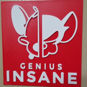 Pinky and the Brain 3D Wall Art: Retro Cartoon Decor