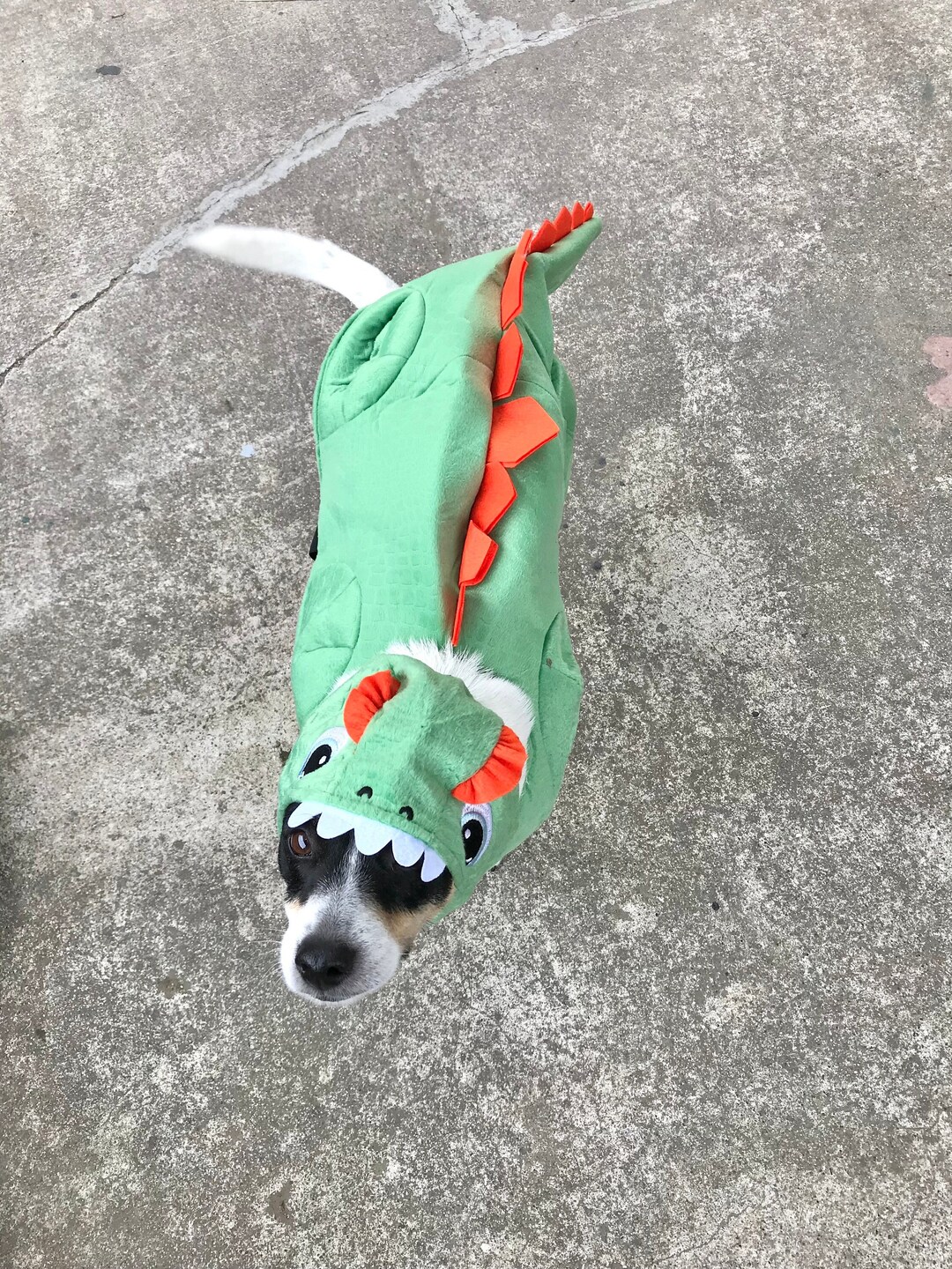 Dinosaur Green Pet Costume main image 1