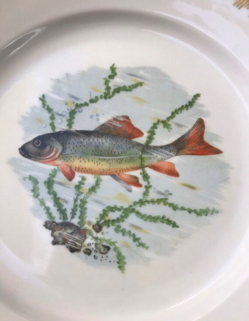 Set of 2 French Limoges Fish Plates Porcelain Made in France Decorative