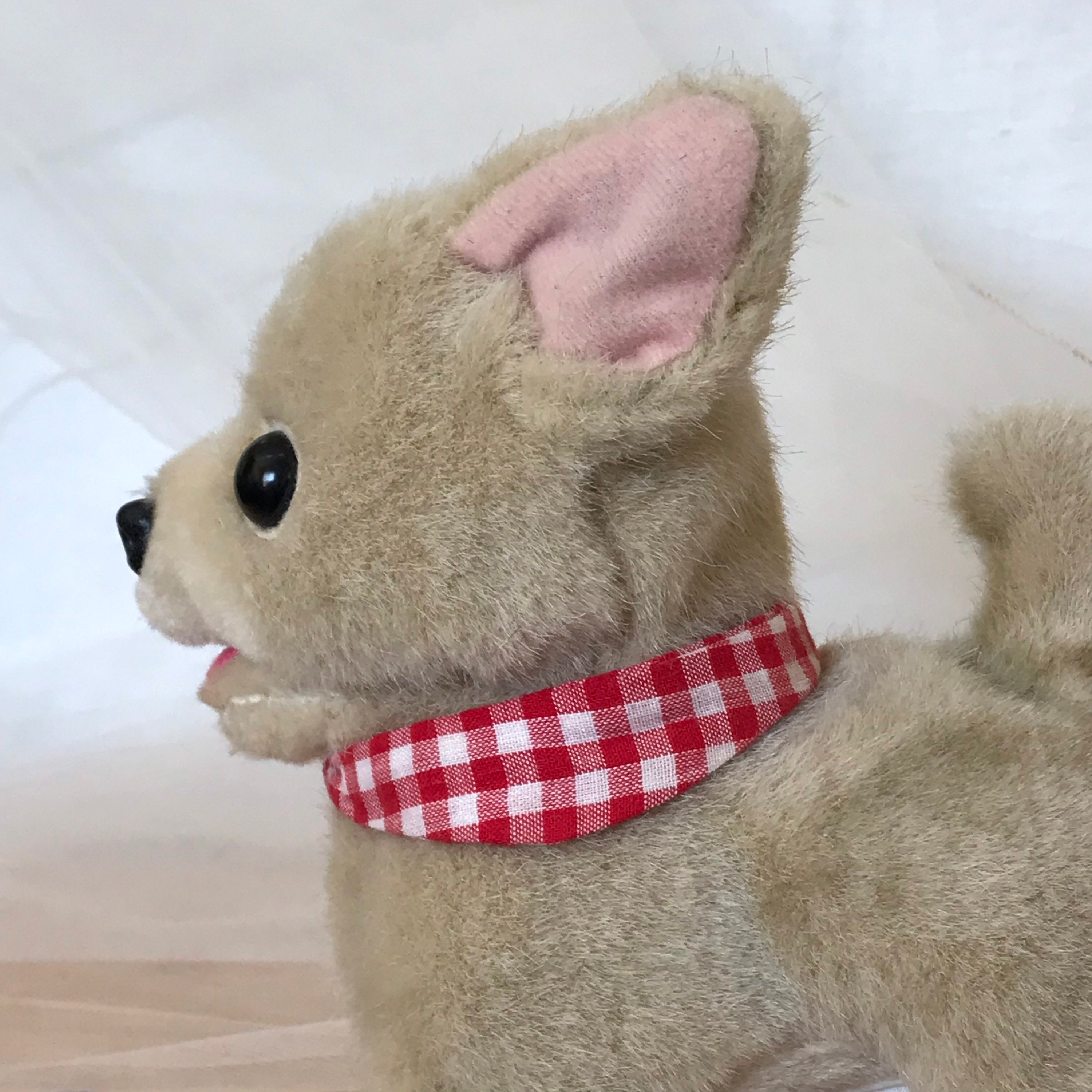 Illustration De Chihuahua Dessin Animé Dessiné à La Main | Vecteur Premium