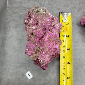 May include: A vibrant pink mineral specimen with a metallic sheen, measuring approximately 5 inches in length. The rock has a textured, porous surface with areas of gold and white. A yellow measuring tape is placed next to the mineral.