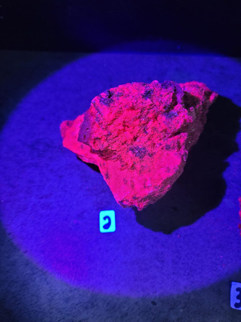 May include: A glowing, irregularly shaped rock illuminated by a blue light. The rock has a vibrant red and pink coloration with dark spots. The background is a deep blue, creating a striking contrast. The image is well-lit, highlighting the rock's texture.