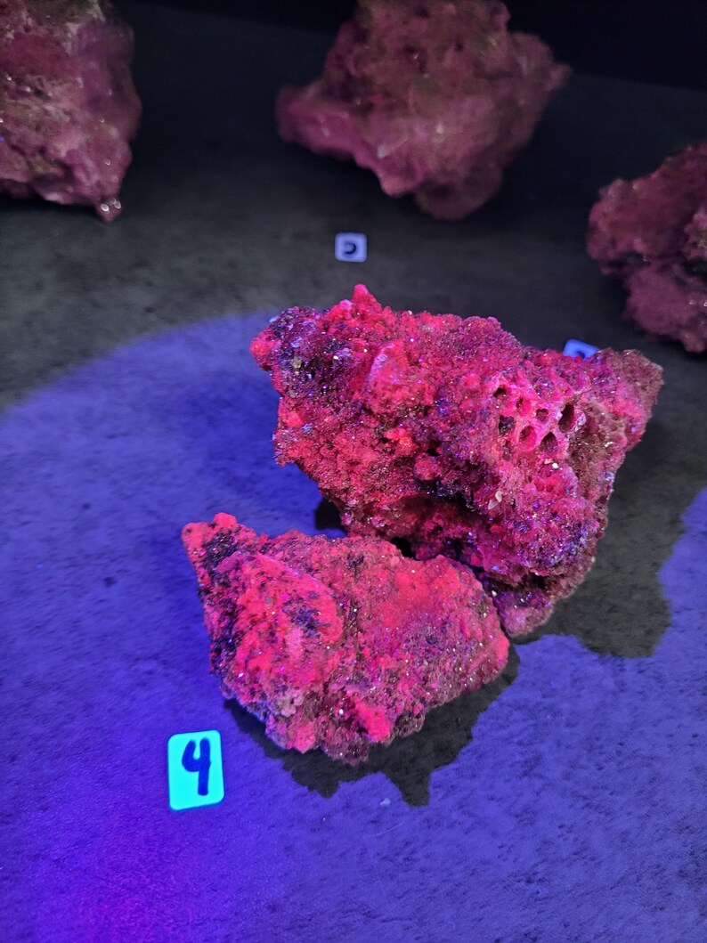 May include: Close-up of several irregularly shaped, textured rocks with a vibrant red and pink coloration. The rocks have a porous appearance, with some displaying small holes. The number "4" is visible on a small, square, blue label.