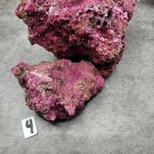 May include: Two pieces of vibrant, textured rock with a deep magenta hue, speckled with lighter tones and hints of green. The larger piece has several holes. The rocks are set against a gray background, with small white tags labeled with numbers.