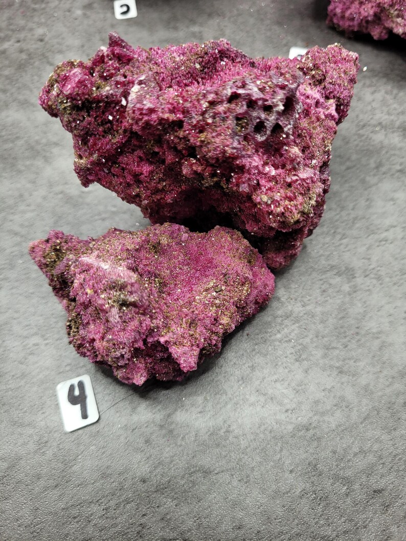 May include: Two pieces of vibrant, textured rock with a deep magenta hue, speckled with lighter tones and hints of green. The larger piece has several holes. The rocks are set against a gray background, with small white tags labeled with numbers.